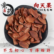 Authentic Solomon to Tianguo new pure white nuts Chinese herbal medicine natural Special Selection full large fruit 500g g