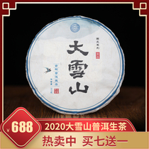 Damu 2020 Spring Pure material Tea Daxueshan Ancient Tree Tea Raw Tea cake Yunnan Ancient Tree Puer Tea Raw Tea Buy 7 get 1 free