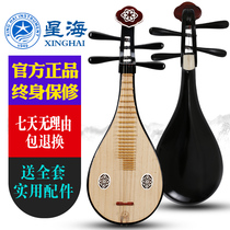 Beijing Xinghai Liuqin 8411R hardwood Liuqin musical instruments Beginner with Liuqin musical instruments National musical instruments