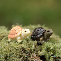 Hipster Korean creative 2 color mini resin turtle DIY wild micro landscape fleshy gardening doll