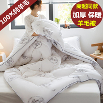 Yuanmeng wool quilt 100% Australian pure wool thickened winter quilt core warm spring and autumn quilt antibacterial household cotton quilt