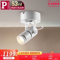 (Noble series)Paulmann Germany surface mounted spot light Adjustable angle led spot light museum downlight