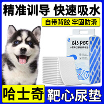 Husky dog Bullseye pad puppies can stick guide puppies to go to the toilet to train pets disposable diapers