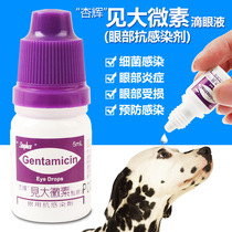 Taiwan apricot glow see large microvegan eye drops Pet eye anti-infective secretions dog cat anti-inflammatory eye drops 5ml