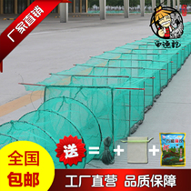 Fish and Shrimp Cage Winged One Single Head Inverted Fish Automatic Fishing Folding Net 30 40 50 60 80 Encrypted and Lengthened