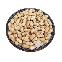 2021 New Selected Tongren Pearl Peanut Two Peanut with Shell Guizhou Special Product Pink Pine Peanut
