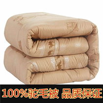 Boutique camel hair quilted by 100% pure camel quilted by camel quilted by 4 6 Jin Xia Bo Spring and autumn quilt by winter quilt