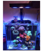 GAKO micro-tank small sea tank A030 A052 075 full spectrum LED sea water coral light