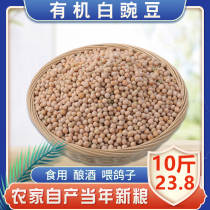 2020 New peas edible white peas dried raw peas farm peas can be winemaking sprouted and fed to pigeons 10kg