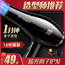 Electric hair dryer household barber shop high wind power hair salon hair stylist special air duct negative ion hair care