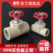 PPR gray globe valve water pipe hot melt valve 2025324050637590110 water pipe gate valve switch 1 inch