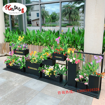 Wrought iron flower box Outdoor large pendulum partition flower groove combination square Gardening planting box Movable metal flower frame