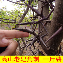 Qinling Gangling Thorn 500g wild Tianding Red big Thorn Natural saponins pod Chinese herbal medicine hand-cut pure thorn stick Thorn