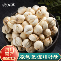 Sichuan Fritillaria a traditional Chinese medicine Sichuan Fritillaria Sichuan Fritillaria powder Sichuan Fritillaria dried pine fritillaria 50g non -500g wild can be used with old tangerine peel