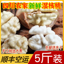 Spot 2021 Sichuan fresh walnuts to green skin wet walnut thin skin pregnant women special raw tender big spades