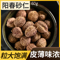 Looking for Baicao Chinese herbal medicine spring Amomum Yangchun specialty nourishing stomach Sha Ren Chinese medicine Yangchun Sand Spring Sha Ren 60g non 500g