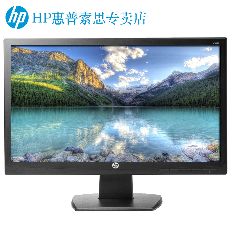 HP/HP V202B desktop computer display 19 inch LCD office eye protection high definition LED