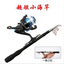 Small pole machine Rod set set a full set of special sea pole throwing Rod sea fishing rod super hard small rock Rod Luya pole special offer