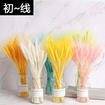 Dried flower bouquet colorful wheat ear wheat ear living room bedroom home furnishings shooting props DIY FLORAL opening barley
