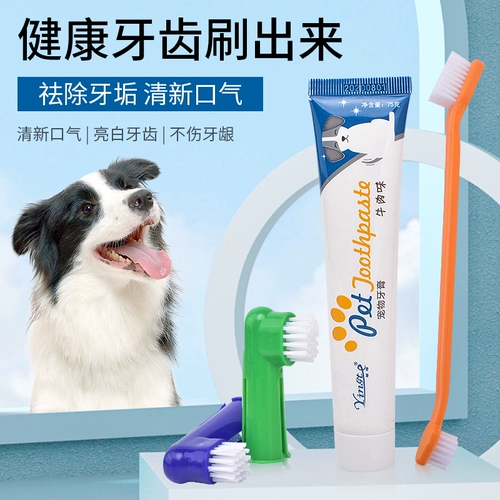 Зубная щетка для зубной пасты собак и кошек, покрытая чисткой для уборки зубов домашних животных с мучницей для уборки зубов для кошачьего кота кошка