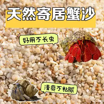寄居蟹石头-寄居蟹石头促销价格、寄居蟹石头品牌- 淘宝