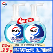Valus foam antibacterial hand sanitizer 225 300ml Children and adults household fragrance antibacterial health care
