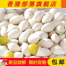 Fresh white fruit Ginkgo fruit Shandong Tancheng big white fruit Fresh raw white fruit 1kg free recipe