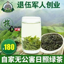 Shandong Rizhao Green Tea 2021 new tea spring tea Bulk premium fragrant fried green alpine cloud green tea 500g