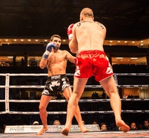 Snake Head Thai Boxes MMA Shorts Fighting Shorts Kick Boxing Free Fighting Fitness Sanda Training Boxing Pants