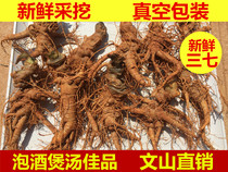 Four years of fresh panax notoginseng 500g authentic Yunnan Wenshan panax notoginseng root beard super tide seven bubble wine soup raw field seven