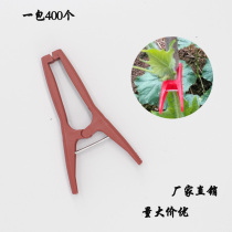 Winter melon clip vine clip vine grape cucumber fixed clip Plastic clip Tied branches tied seedlings fixed vine clip