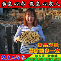500g Changbai Mountain American ginseng pruning can slice the whole branch of the Flower Flag Ginseng section whole tea to make powder