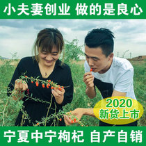 Lycium barbarum Ningxia Zhongning Chinese wolfberry specialty Gou Qizi new goods authentic red structure 500g male kidney