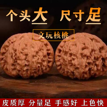 Text to play walnut Wang Yong Grand official hat Mega Kiri Grain Official Hat Walnut Handlebar to Play Walnut Essay for Men