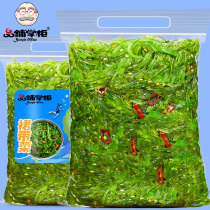Wakame Korean kelp soup Korean sea group Wakame sprouts Wakame seaweed Sprouts Tender kelp seedlings Ready-to-eat