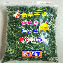  Natural Wheatgrass hay 100g Pet rabbit food Dutch pig Guinea pig Chinchilla feed Fresh green hay