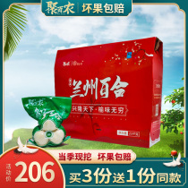 Lanzhou New Fresh Sweet Lilies Dry Tuilt Special Grade edible Three-head Real 2500g exquisite gift box Courtesy Kit