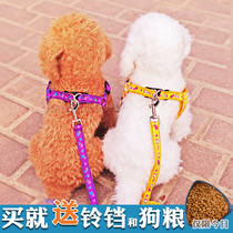 (Send Bell dog food) Teddy dog chain collar small dog breast strap dog leash puppy pull rope