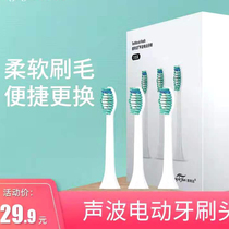 Adaptation Lang li jie electric toothbrush TB-004 dedicated refill three pack