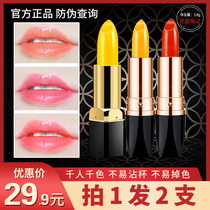  Korean narcissus carotene red cherry discoloration moisturizing lipstick hydrating moisturizing lipstick long-lasting non-bleaching non-stick cup