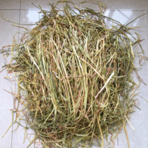 Memes Australia oats gold Australia Michael in lieu of Tim Morsi with wheat ears black spots have a sieve of 500g