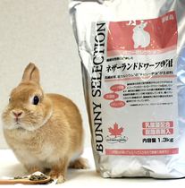April 23 Japan original silver piano rabbit food Dwarf rabbit Cat Cat Rabbit Pet Rabbit special main food 1 3kg
