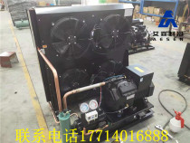Cold storage semi-enclosed unit Shenyang Copeland 15 hp 20 hp compressor Bitzer quick-freezing storage unit Lai Fukang