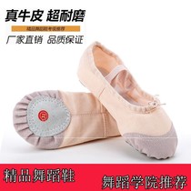 Adult Children's Dance Shoes Girl's Soft Solo Practice Cat's Claw Male Dancing Body Yoga Classical Chinese Ballet
