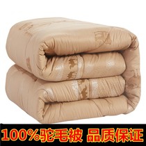Camel wool quilt winter thickened warm wool quilt Spring Autumn Winter 10kg dormitory quilt cotton 1213y