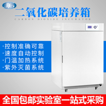 Shanghai Yiheng BPN-40RHP CRH carbon dioxide incubator CO2 incubator Cell biological constant temperature culture
