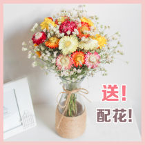  Yunnan natural small daisies dried flowers real flowers starry decoration ornaments home living room furnishings air-dried light luxury bouquet