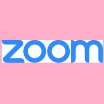  International version of ZOOM Cloud video conference room software Online education Monthly by year 100 parties 500 parties 1000 parties