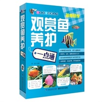 Genuine XN ornamental fish maintenance