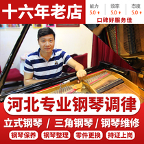 Hebei piano tuning tone tuning tune piano maintenance master certificate door-to-door service